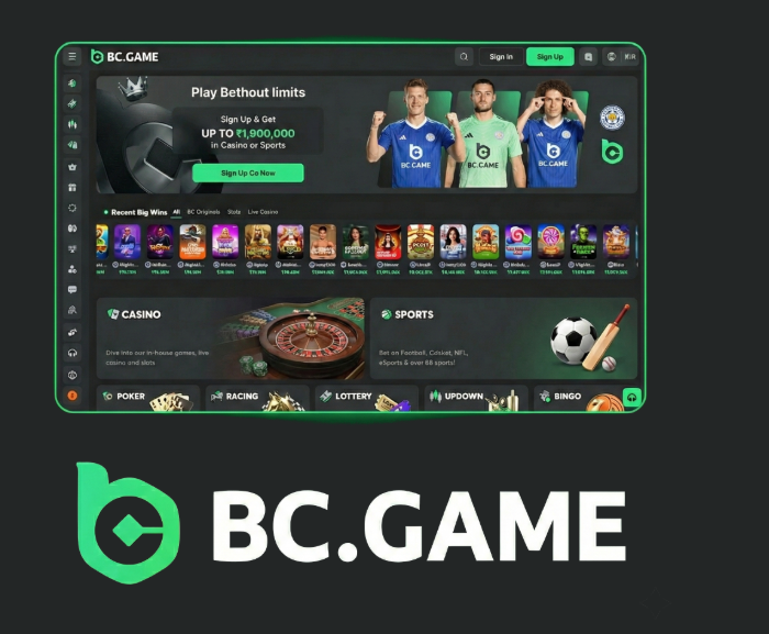 Understanding the BC.Game Login Process A Step-by-Step Guide Understanding the BC.Game Login Process A Step-by-Step Guide